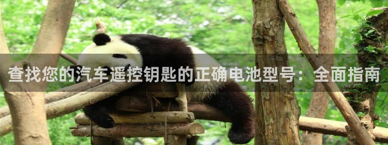 优发国际官网手机版