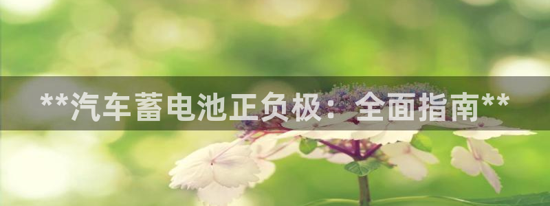 优发国际下载app
