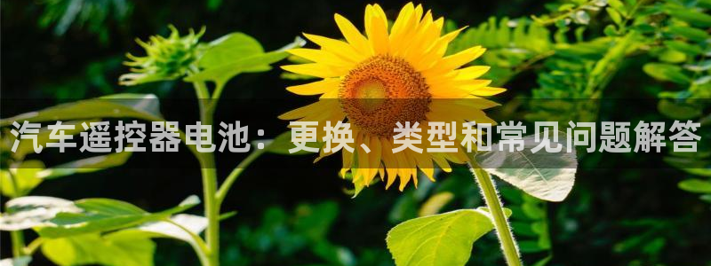 优发国际手机客户端官网下载