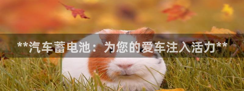 优发国际平台u8