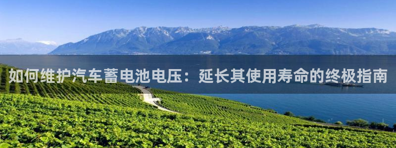 优发国际手机客户端官网首页