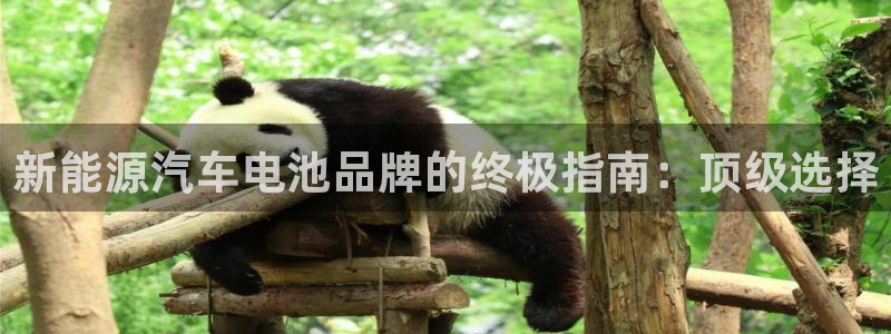 优发国际官网
