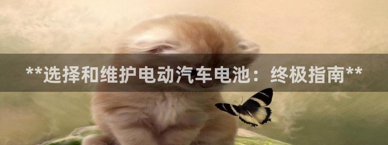 优发娱乐pc版官网