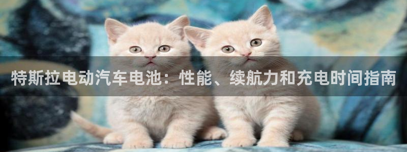 优发国际安卓版下载安装