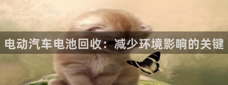 优发国际手机版官网入口
