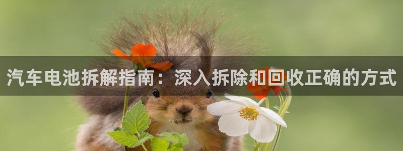 优发国际网官网17q8