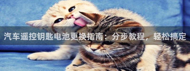 优发国际官网下载安装