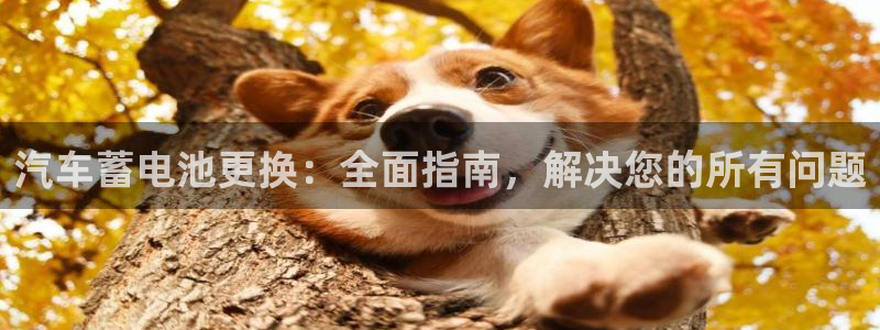 优发国际平台g80