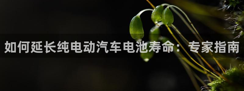 优发国际不出款