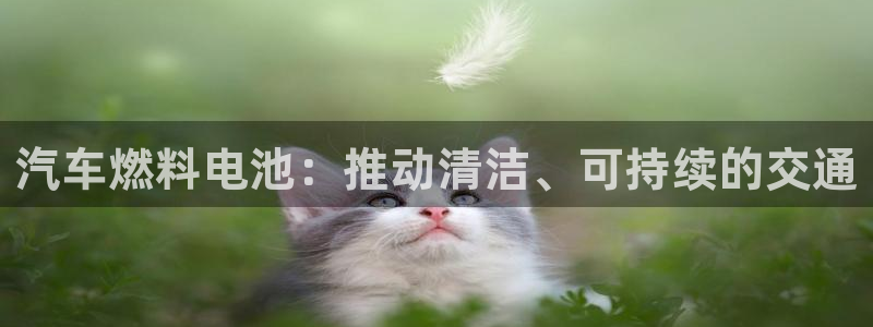 优发国际官方网手机版下载安卓