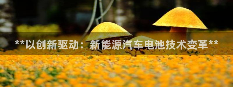 优发国际网站官网