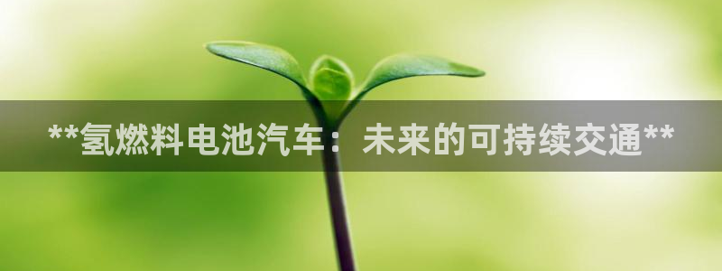 优发国际手机安装登录不了