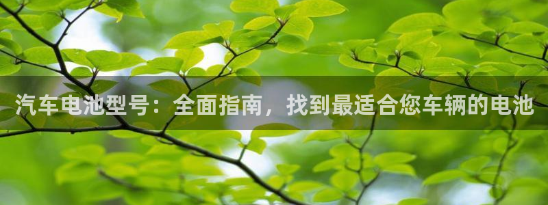 优发国际手机版客户端官网