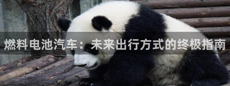 优发国际登录168