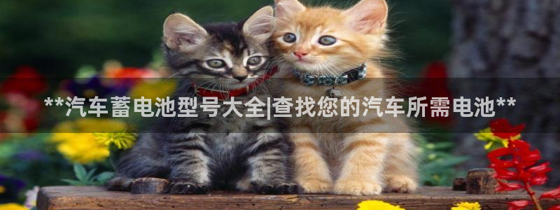优发国际平台18岁能做吗