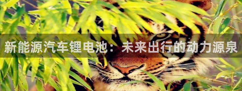 优发国际平台g80