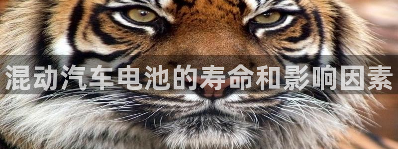优发国际集团股份有限公司招聘