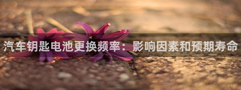 优发国际官网手机版代理