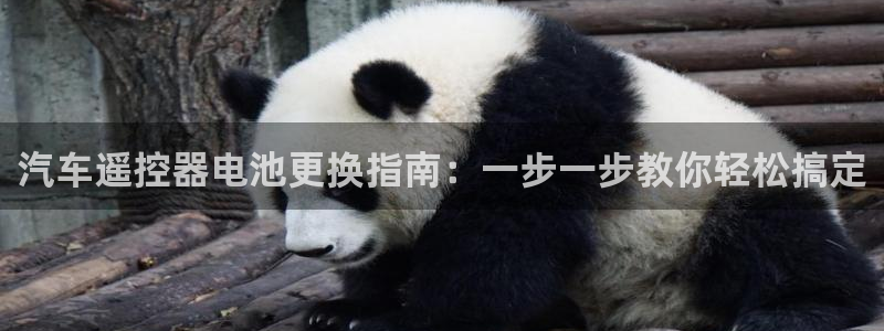 优发国际不出款了吗