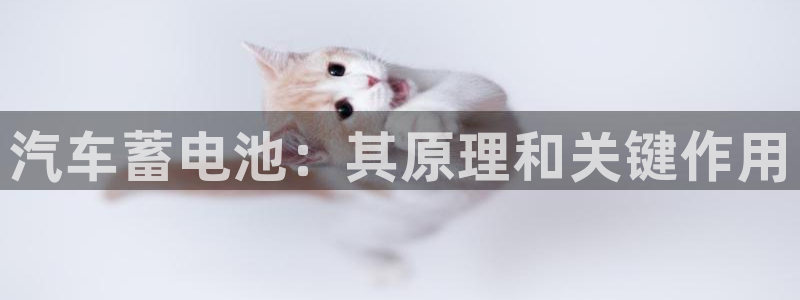 优发国际登录首页