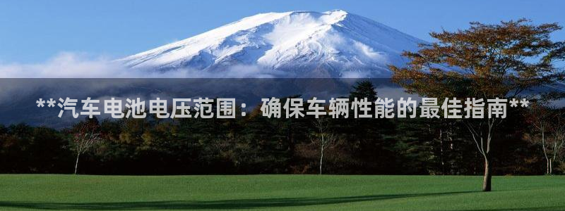 优发国际安卓版下载安装