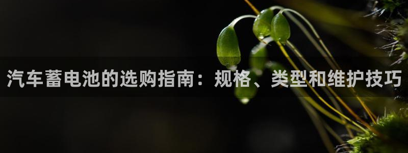 优发国际官方网
