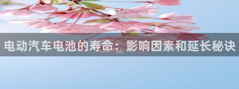 优发国际手机安装登录