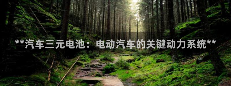 优发国际游戏17