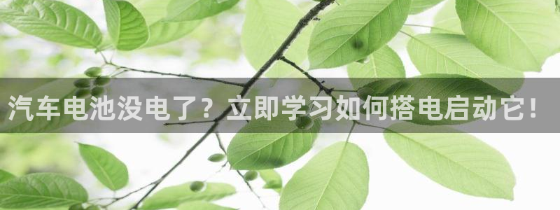 优发国际登陆
