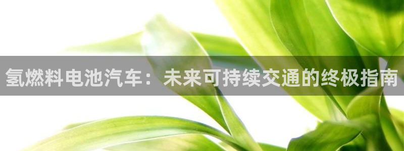 优发国际官网下载安装app