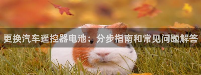 优发国际登录首页