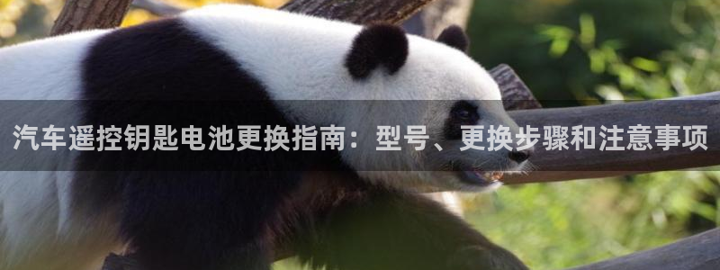 优发国际手机版唯一官网下载