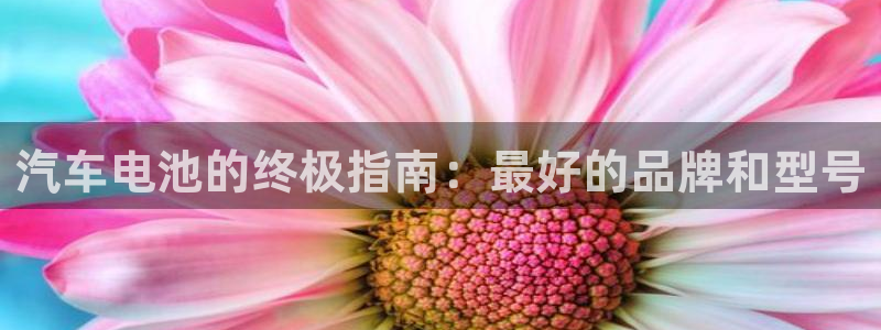 优发国际手机版客户端下载安装