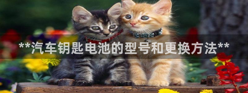 优发国际官网网站首页