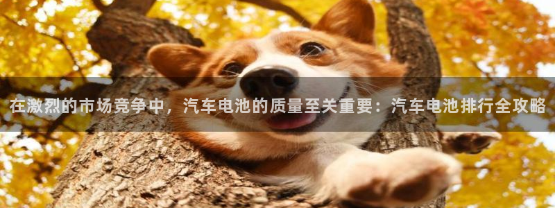 优发国际亚洲平台