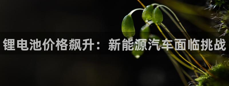 优发国际这个平台怎么样知乎