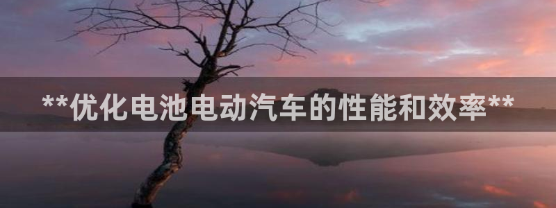 优发国际官网手机版入口