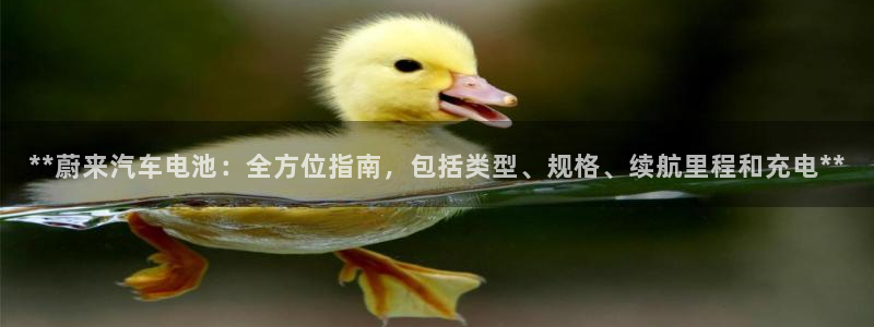 优发国际网官网