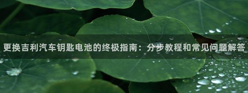 优发国际合并到哪里了啊