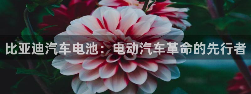 优发国际官方下载app