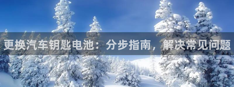优发国际平台g80