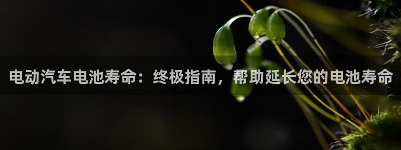 优发国际官网网站首页