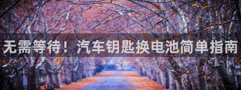 优发国际手机app下载安装