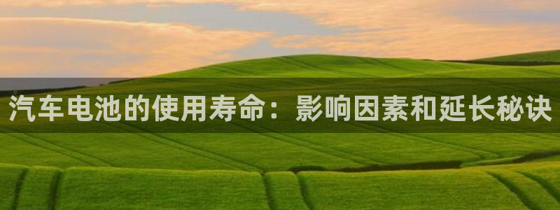 优发国际官网qy88