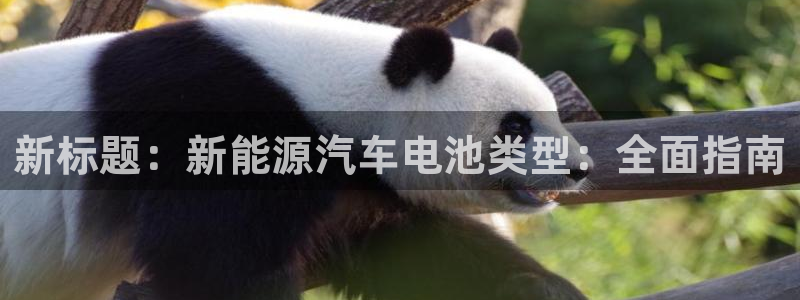 优发国际手机app下载安装最新版