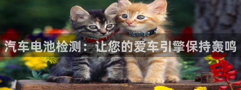 优发国际手机客户端下载不了