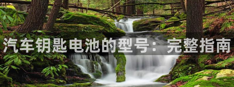 优发国际手机客户端下载安装