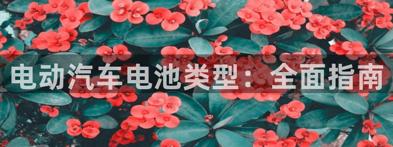 优发国际手机app下载安装最新版