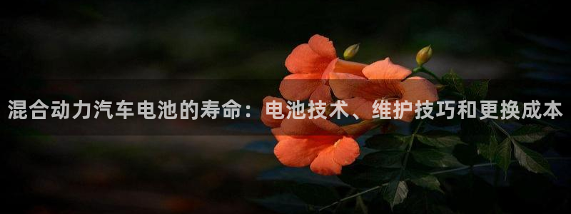 优发国际官网手