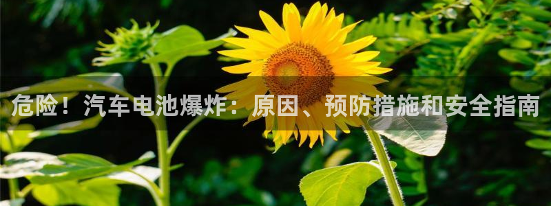 优发国际官方网平台
